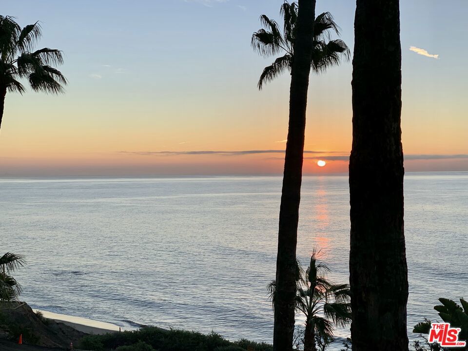 26664 Seagull Way A226