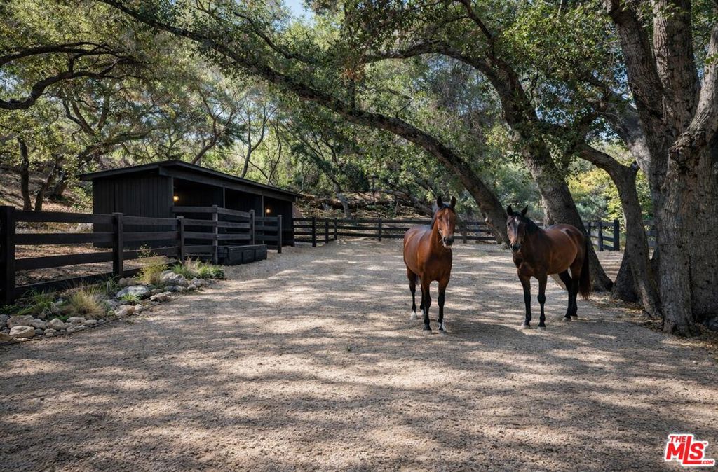 730 Crater Camp Drive