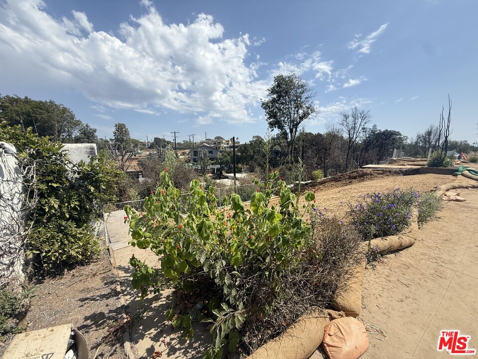 674 Palmera Avenue