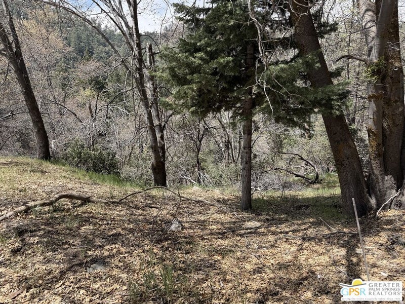 6032 Tripp Lane