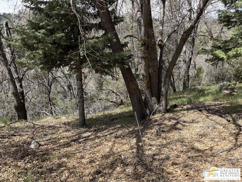 6032 Tripp Lane