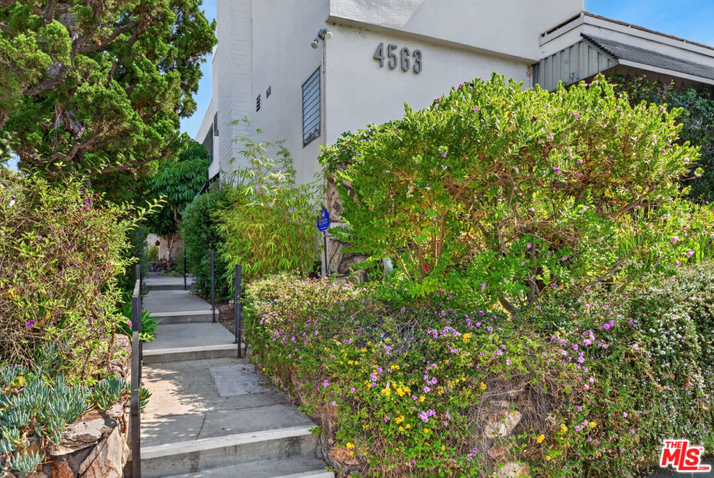4563 Finley Avenue 3