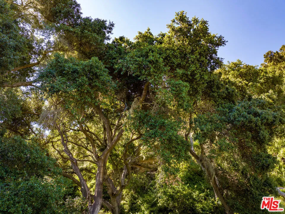 Lompoc, California 93436, United States, ,Land,Active,180269