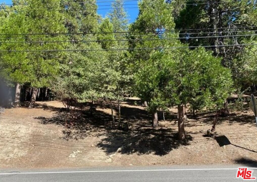 0 Grass Valley
