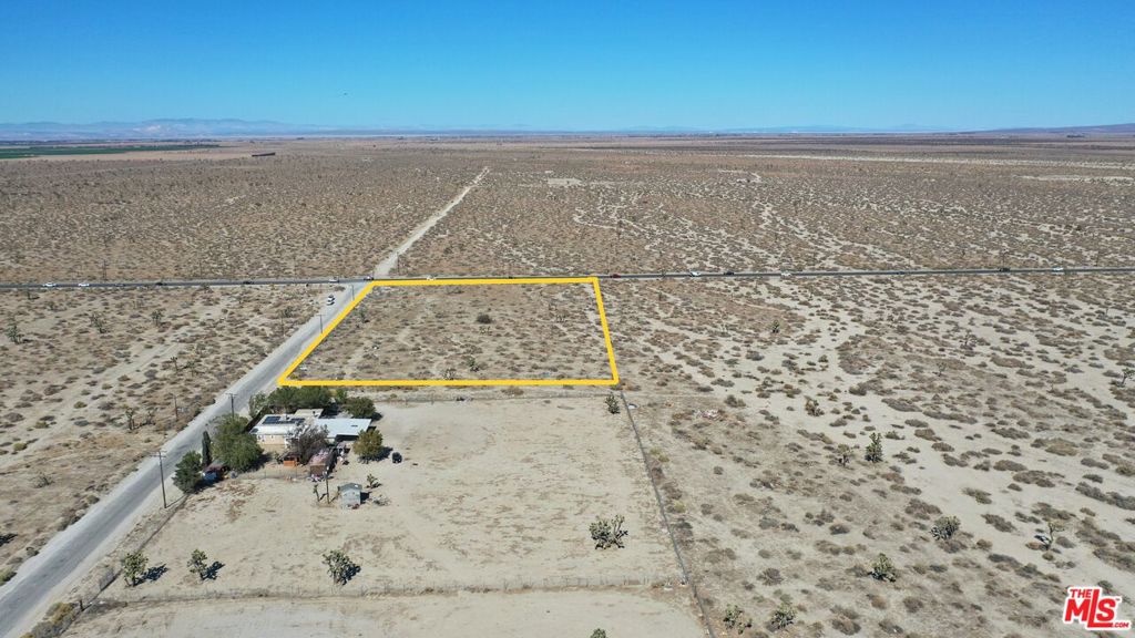 75 TH Ste Drt Cor Palmda St