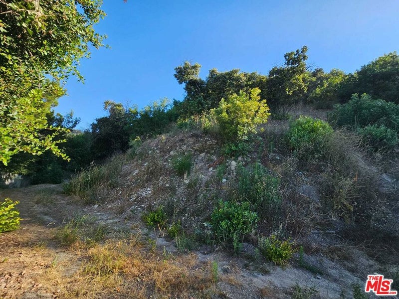 13388 Newcomb Drive