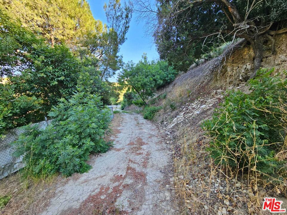13388 Newcomb Drive
