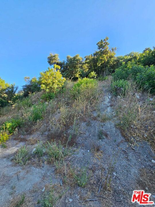 13388 Newcomb Drive