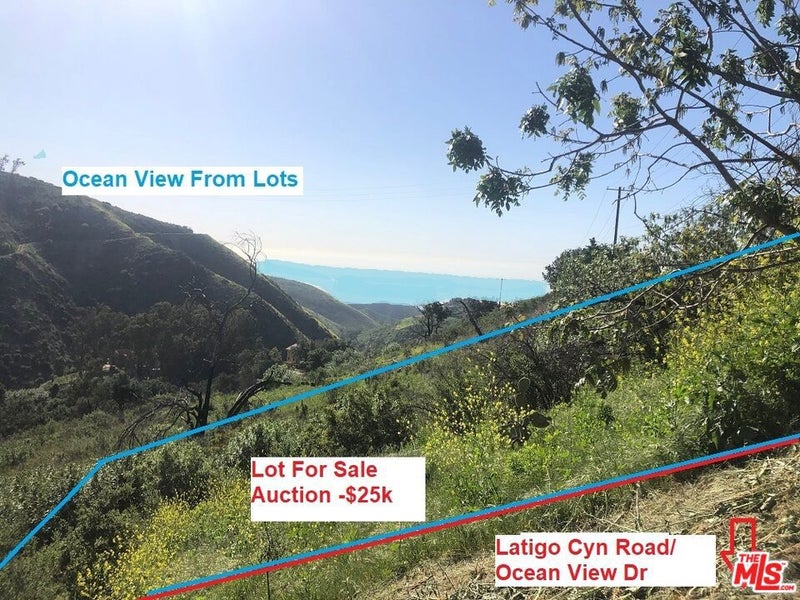 4218 Latigo