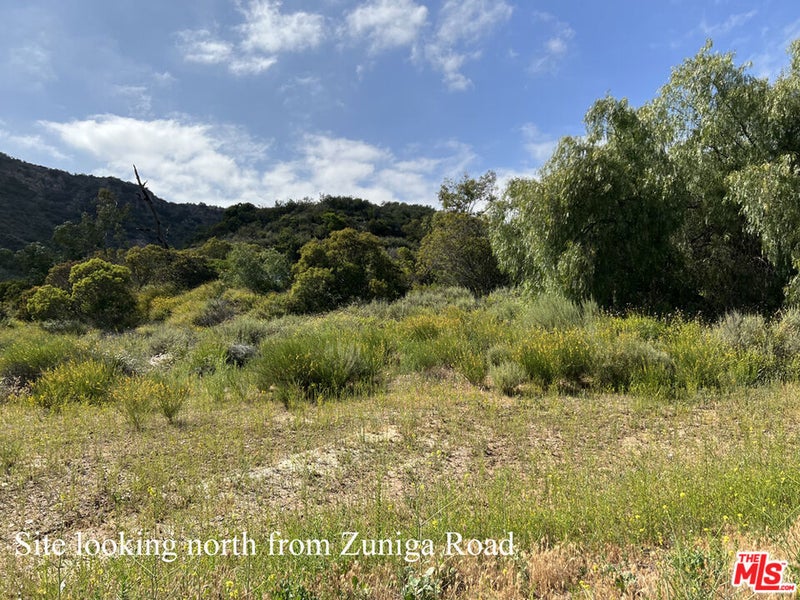 23629 Zuniga Road