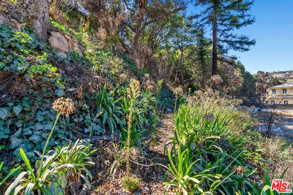 Pacific Palisades, California 90272, United States, ,Land,Active,233350