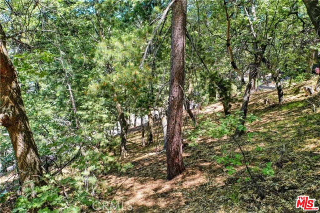 28270 Arbon Lane