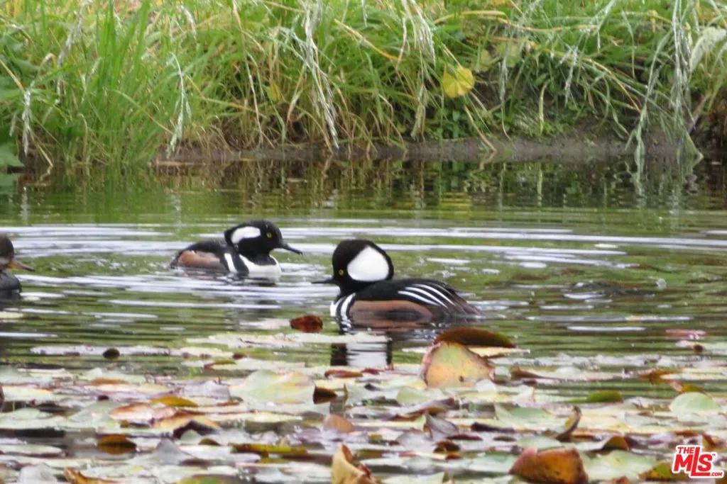 Lompoc, California 93436, United States, 4 Bedrooms Bedrooms, ,3 BathroomsBathrooms,Residential,Active,234732