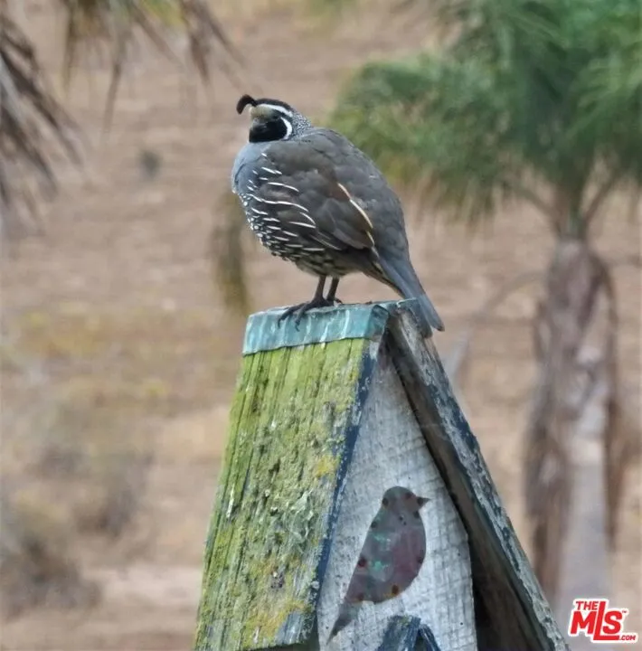 Lompoc, California 93436, United States, 4 Bedrooms Bedrooms, ,3 BathroomsBathrooms,Residential,Active,234732