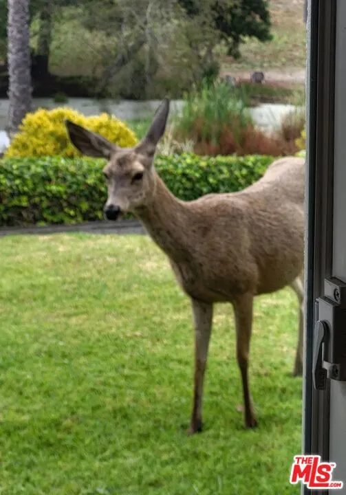 Lompoc, California 93436, United States, 4 Bedrooms Bedrooms, ,3 BathroomsBathrooms,Residential,Active,234732