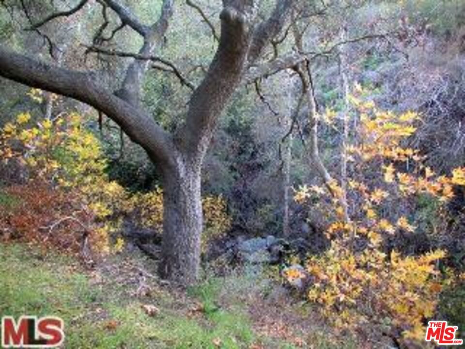 996 Old Topanga Canyon Road