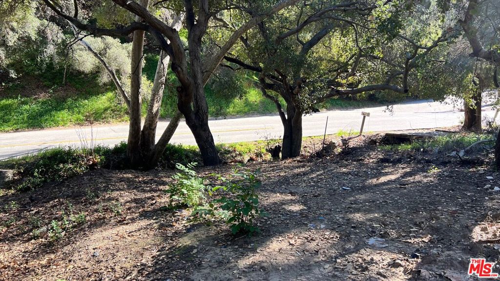 3485 Old Topanga Canyon Road