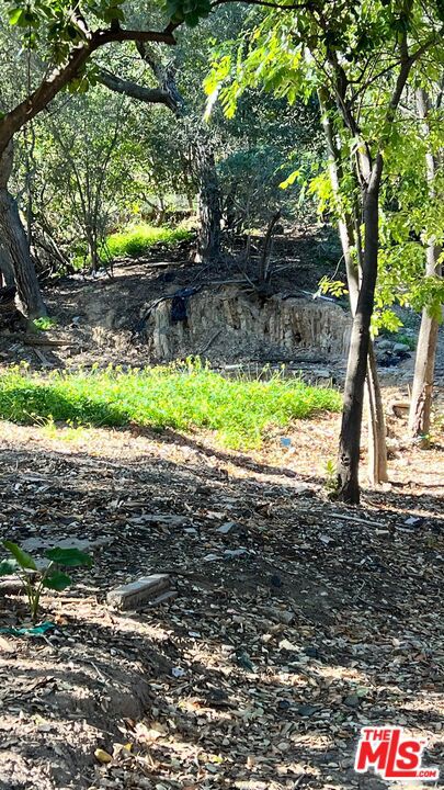 3485 Old Topanga Canyon Road