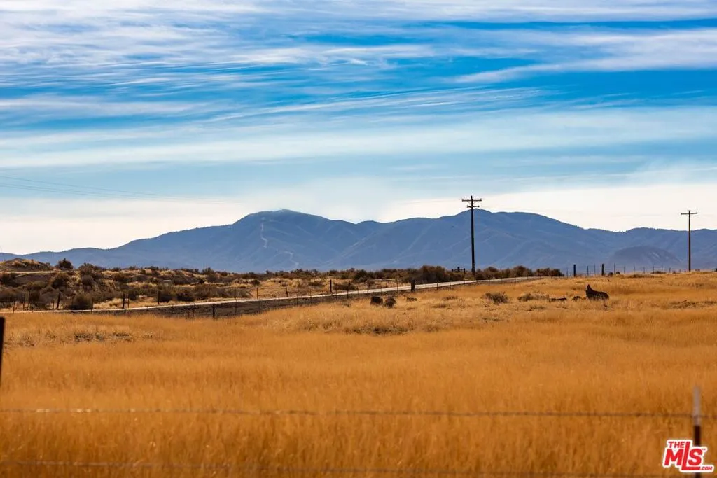 New Cuyama, California 93254, United States, ,Land,Active,72981