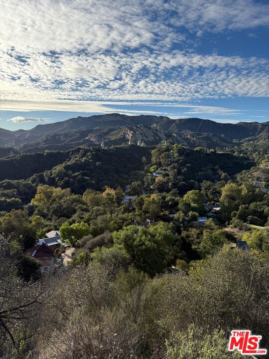 0 Topanga Skyline Dr