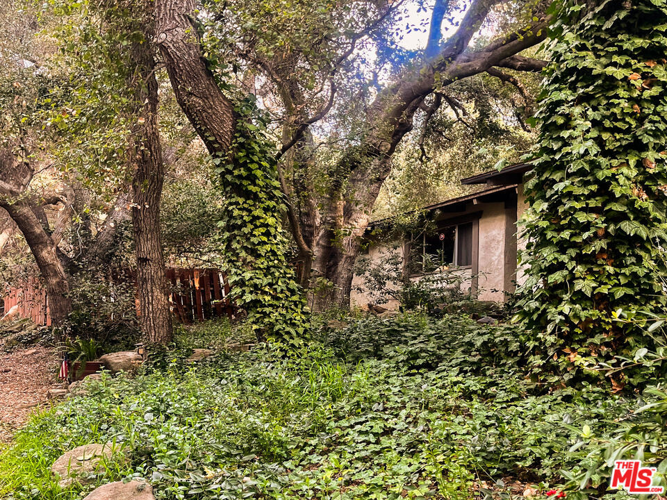 25614 Timpangos Drive