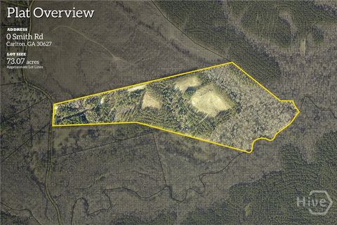 0 Smith Road Carlton GA 30627