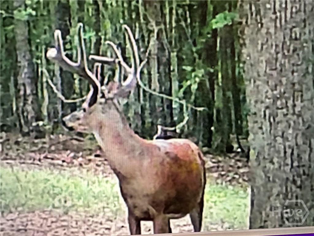 1070 Cedar Grove Drive