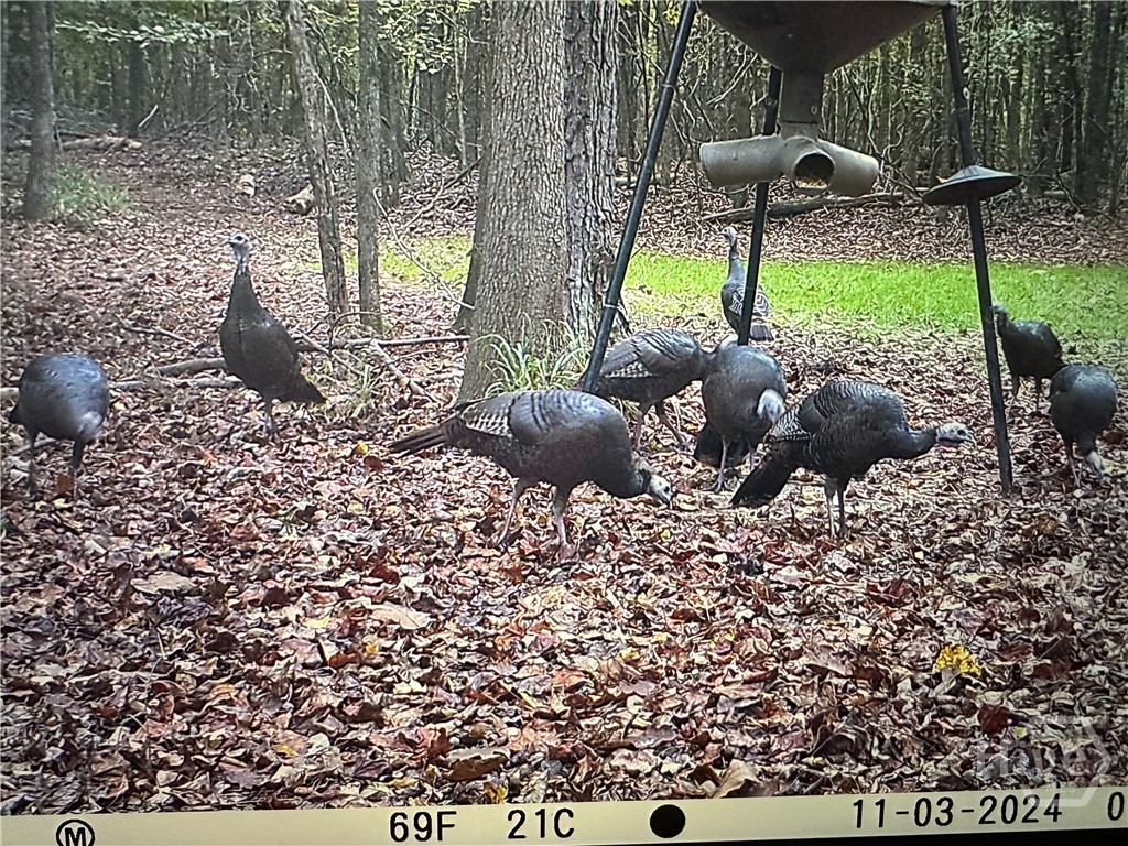 1070 Cedar Grove Drive