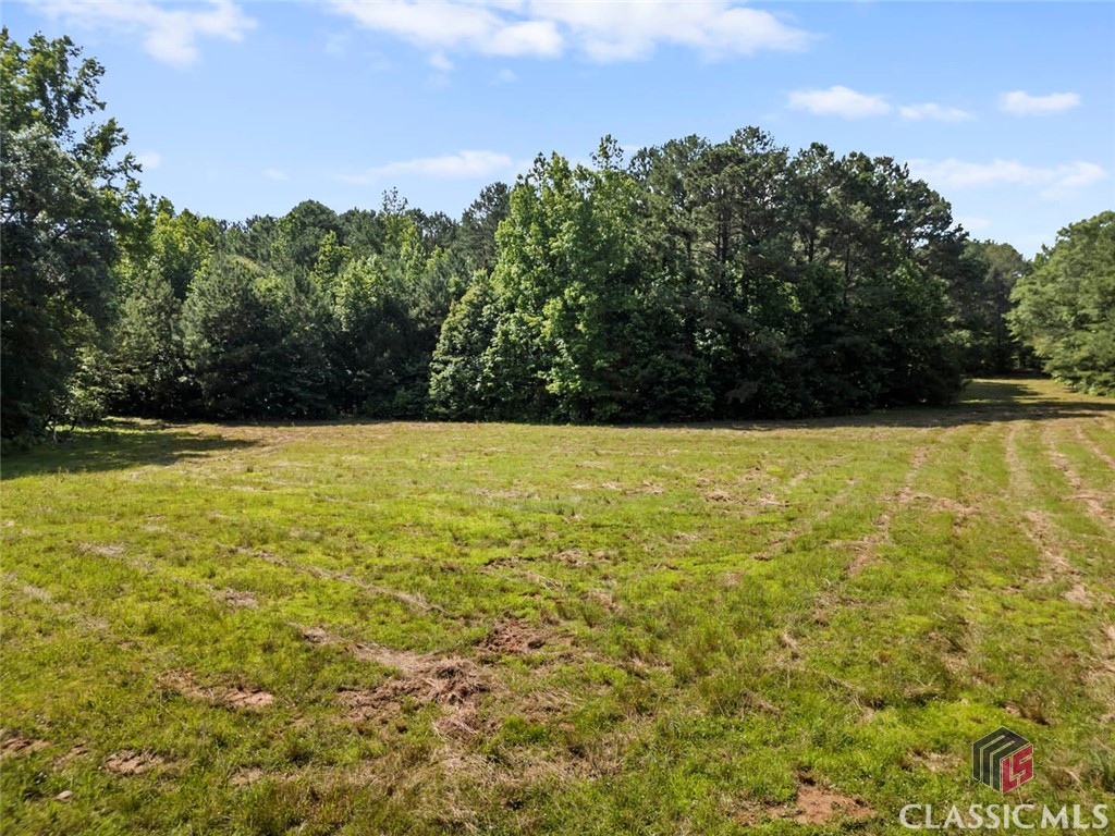 2950 Doster Road