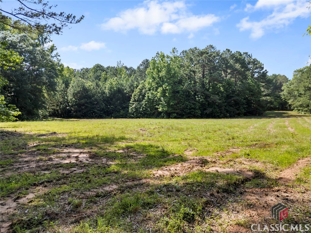 2950 Doster Road
