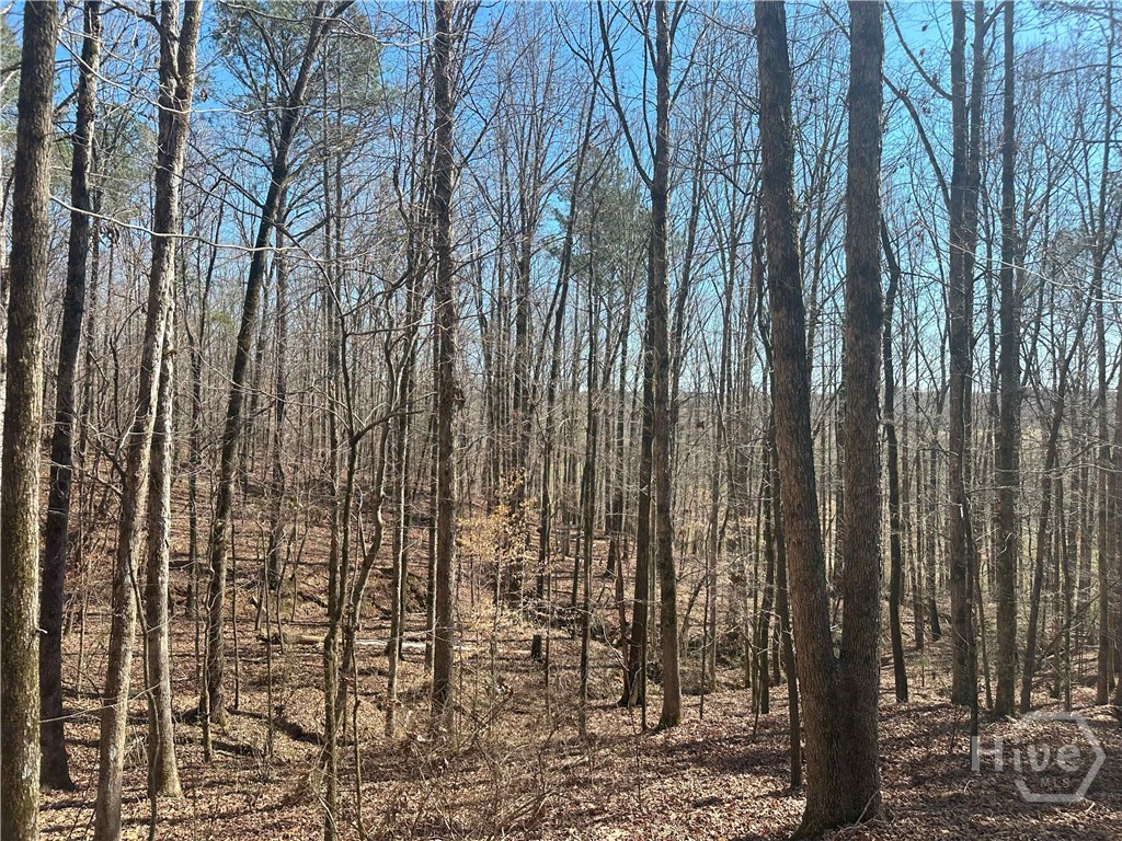 1181 OLD BARNETT SHOALS Road