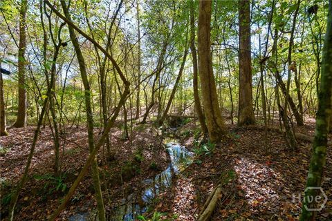 1 Bridges Carlton GA 30627