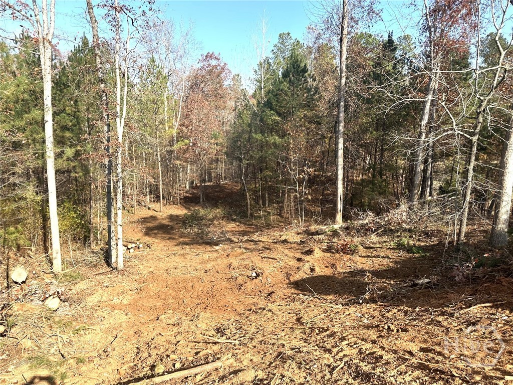 1698 Shoal Creek Way