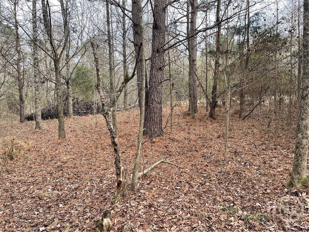 884 Jackson Trail Road