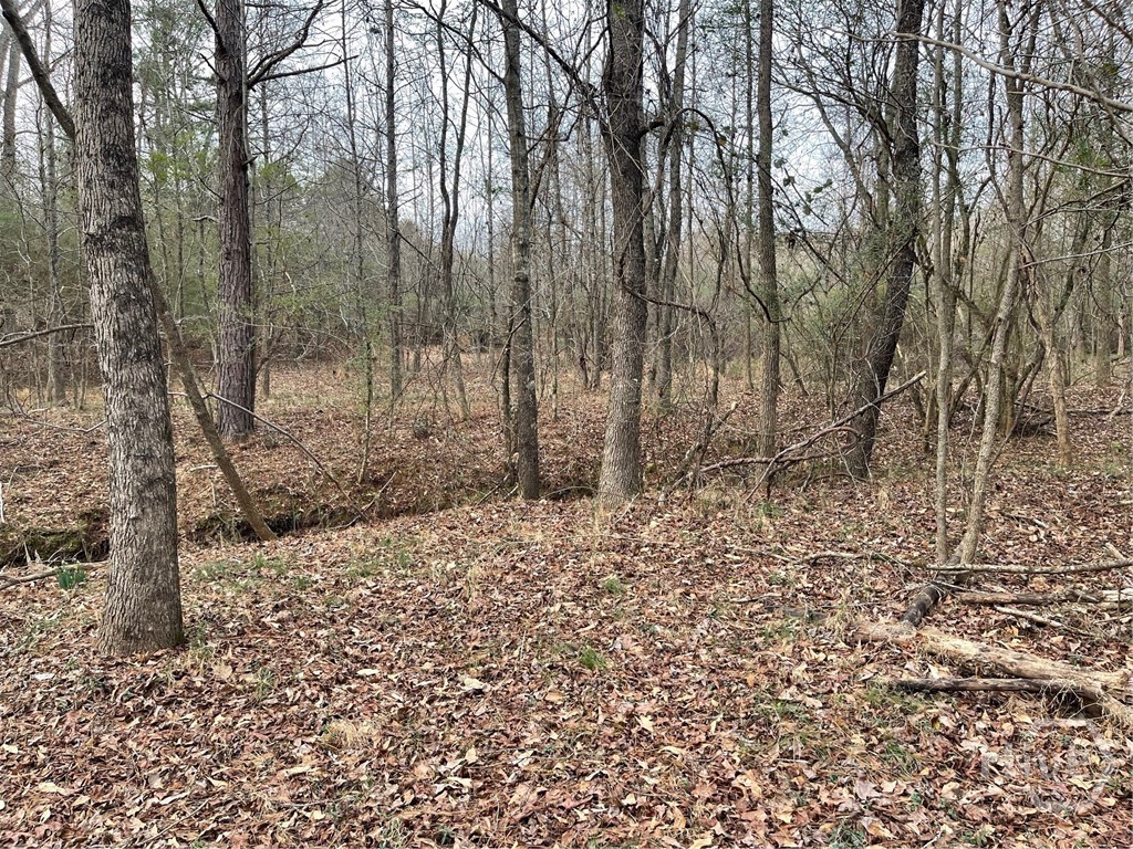 884 Jackson Trail Road