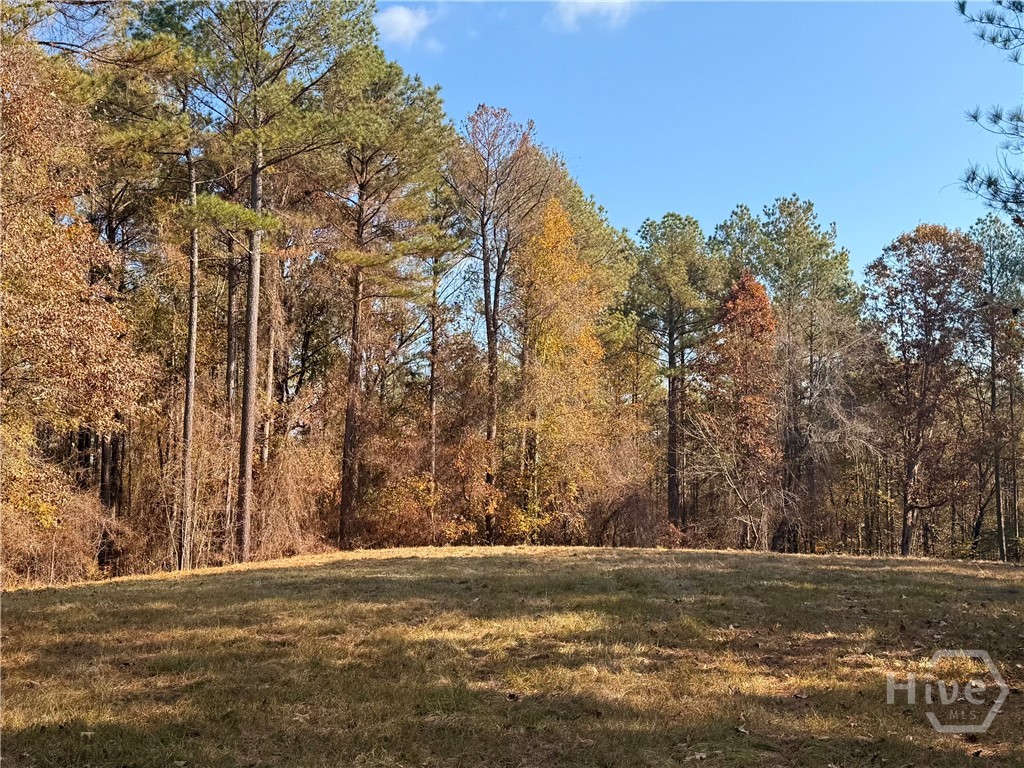 #8 Apalachee Meadow 1140