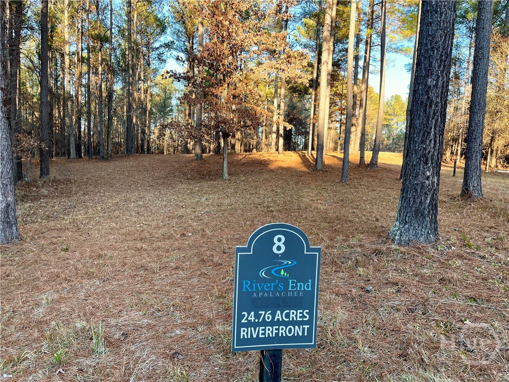 #8 Apalachee Meadow 1140