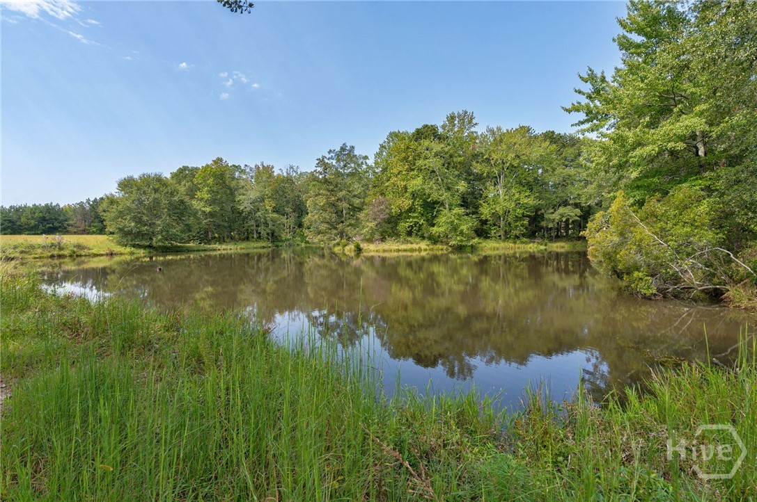 1190 Old Bishop Road