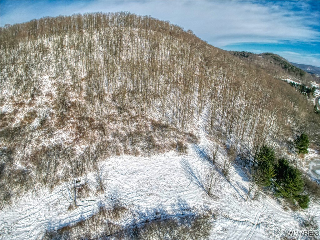 6078 Nys Rte 242 Lot #2, Ellicottville, New York image 8