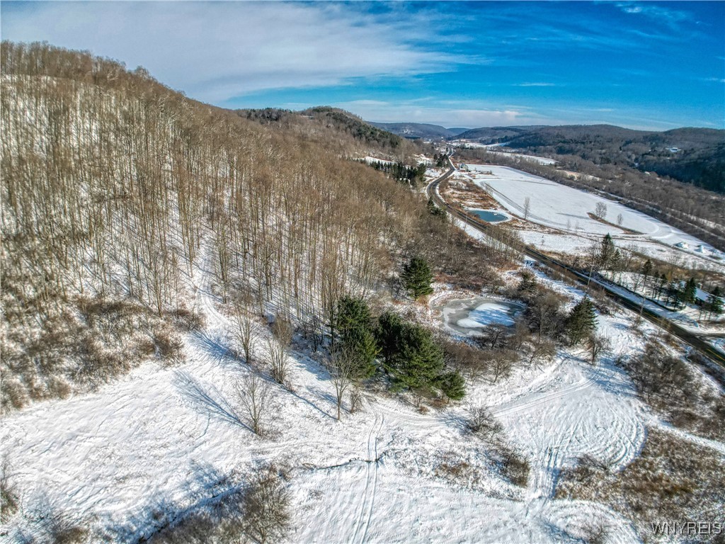 6078 Nys Rte 242 Lot #2, Ellicottville, New York image 9