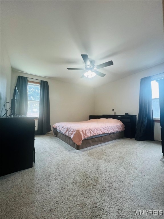 5962 Hyde Park Boulevard, Lewiston, New York image 17