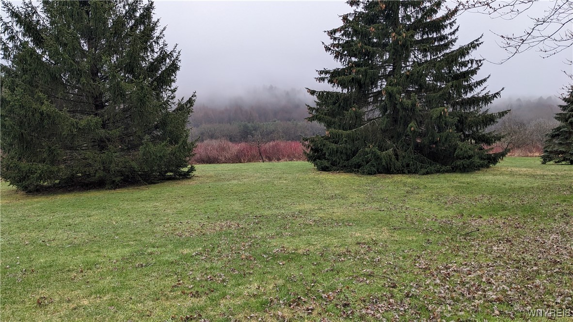 4853 Roszyk Hill Road, Machias, New York image 11