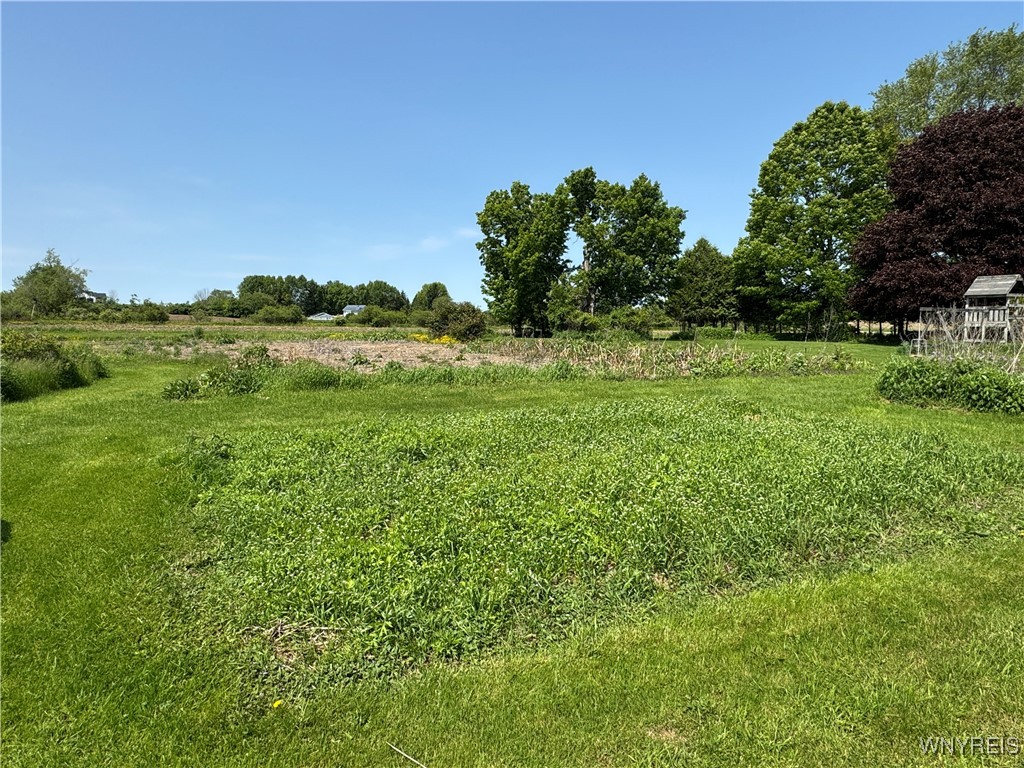 11400 Savage Road, Sardinia, New York image 11