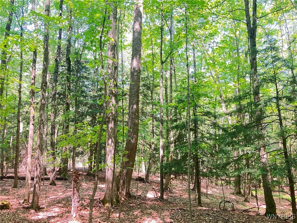 8978 Jennings Road, Eden, New York image 6