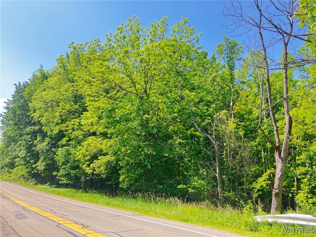 8978 Jennings Road, Eden, New York image 4