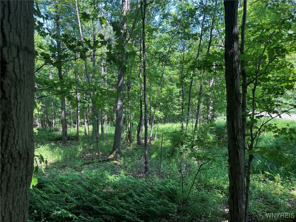 8978 Jennings Road, Eden, New York image 13