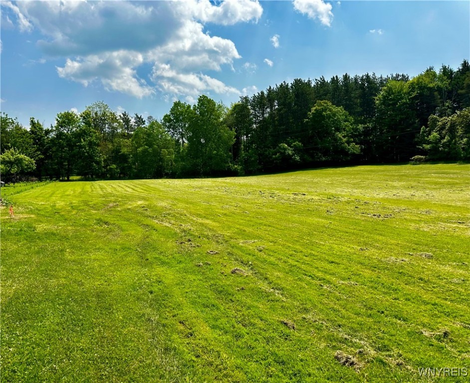 1308 V/L Grover Road, Aurora, New York image 13