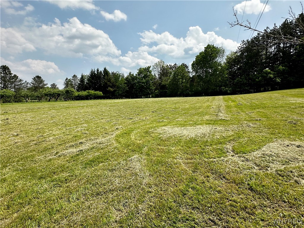 1308 V/L Grover Road, Aurora, New York image 6