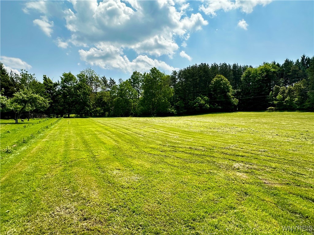1308 V/L Grover Road, Aurora, New York image 12