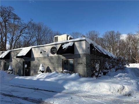 Photo of 5020 Armor Duells Road, Orchard Park, NY 14127 (MLS # B1660584)